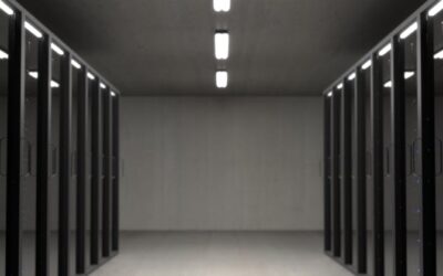 Website Backups: The Safety Net Every Business Owner Needs